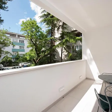 Lions * スプリト